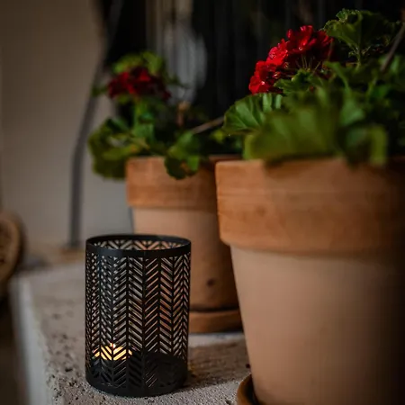 公寓 Amaro Luxury & With Balcony